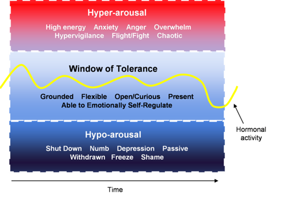 image <strong>What is EMDR therapy, and how can it be helpful for persistent pain?</strong>